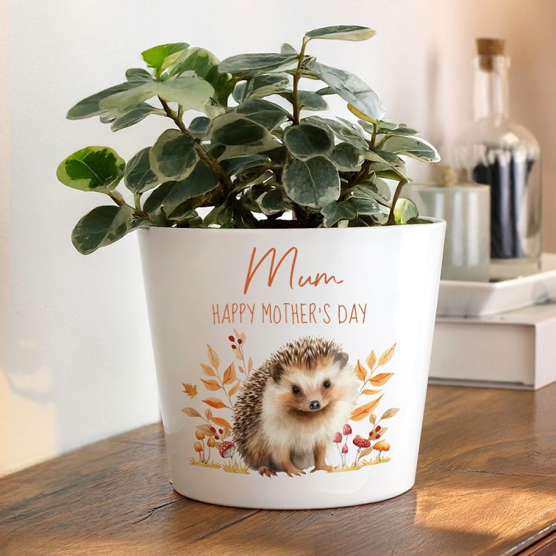 Personalised Hedgehog Large Plant Pot