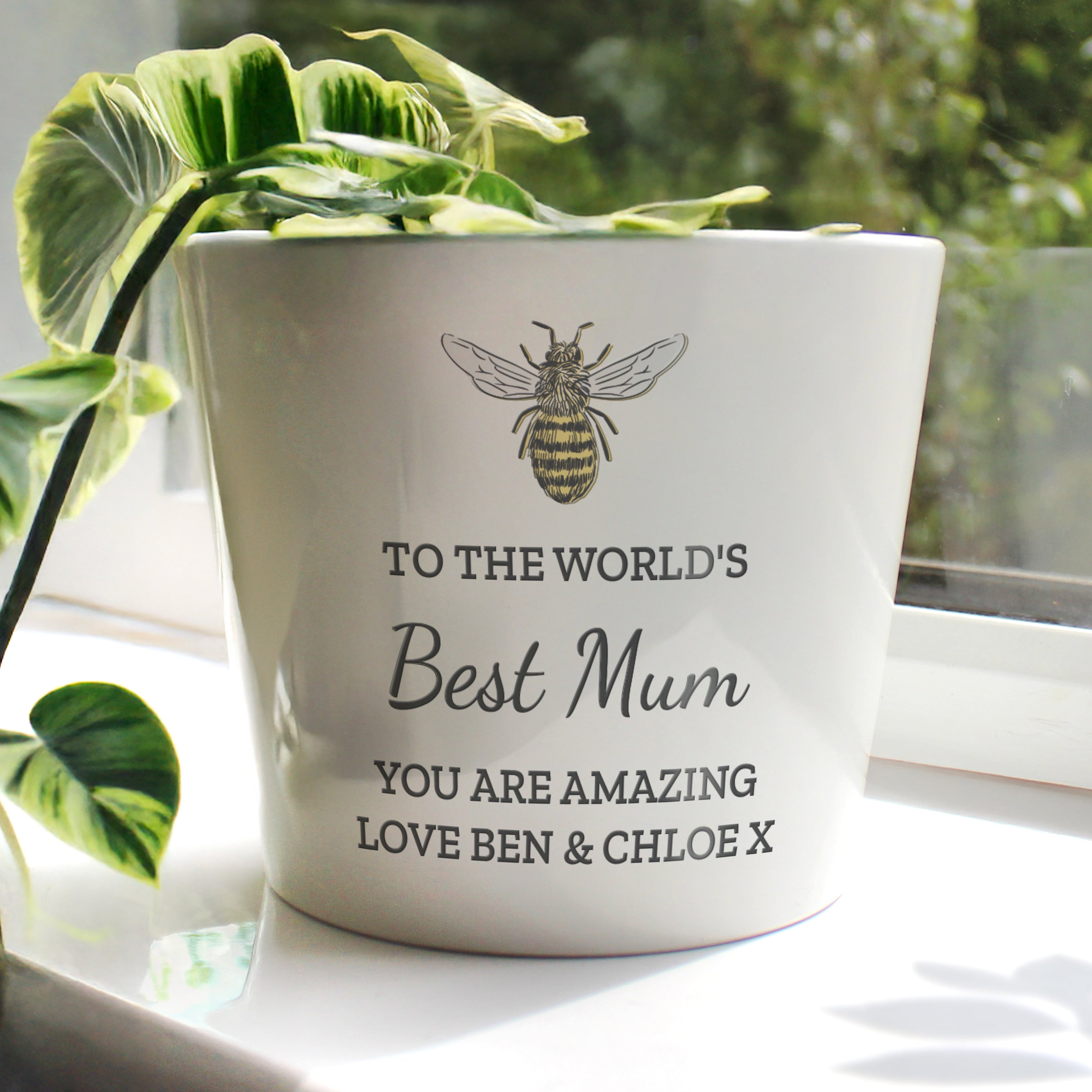Personalised Bee Large Plant Pot